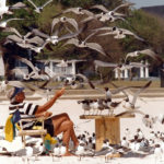Dick Florea, Gulfport Seag Gull man